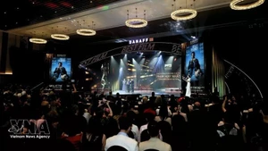 附图。（图片来源：越通社）