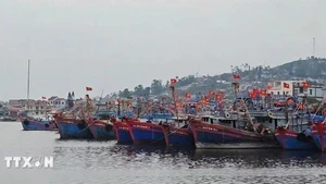 附图。（图片来源：越通社）