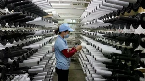 附图。（图片来源：越通社）