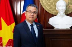 越南驻安哥拉特命全权大使杨政职。（图片来源：越通社）