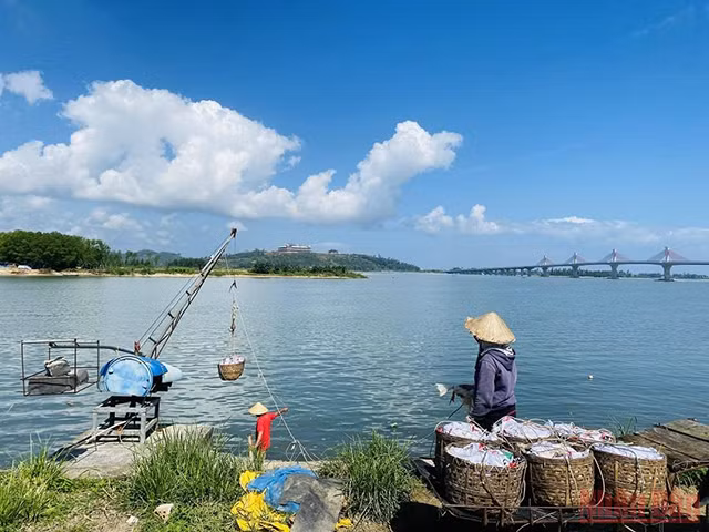 城市中心的“游牧”生活（组图） ảnh 2