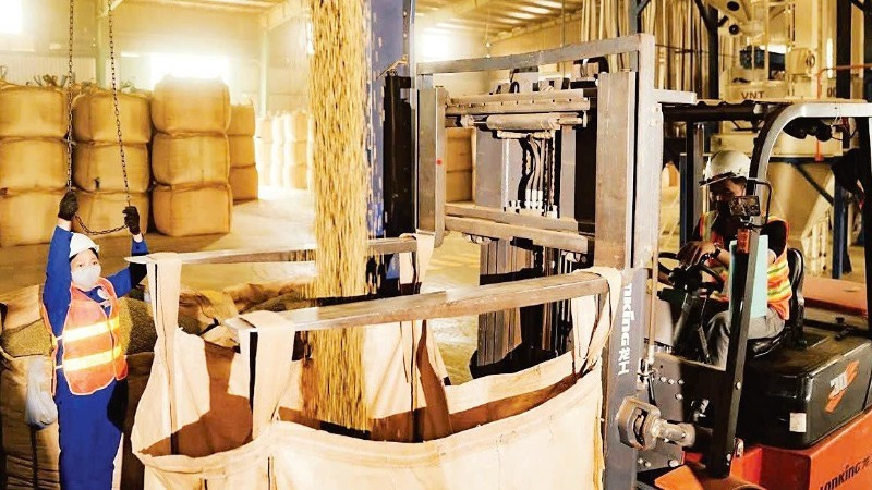 图：得乐Simexco公司咖啡生产作业现场。（明英 摄）