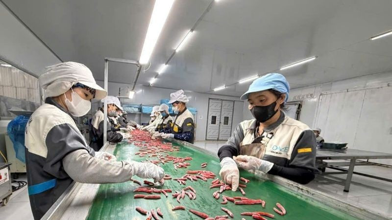 私营企业投资现代化农业生产线，提高生产力，提升产品出口价值。