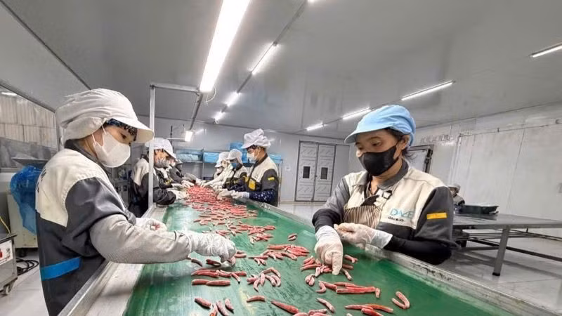 私营企业投资现代化农业生产线，提高生产力，提升产品出口价值。