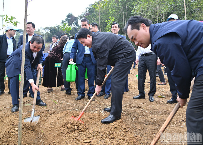 梁强主席与各位代表植树。