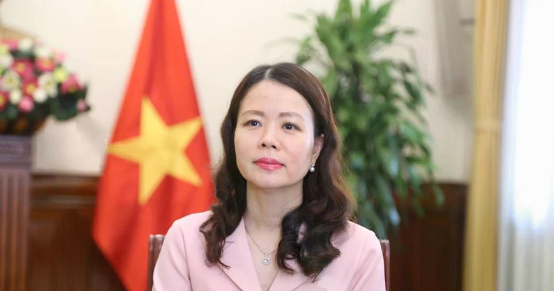 越南外交部副部长阮明姮。