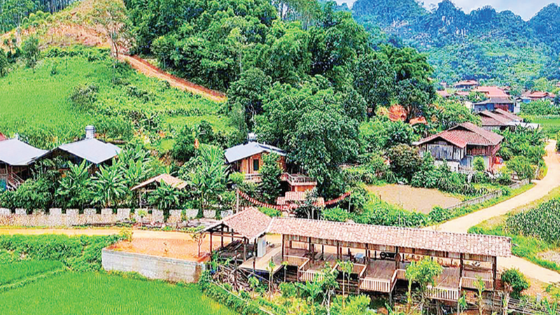 谅山省友莲乡旅游村全景。