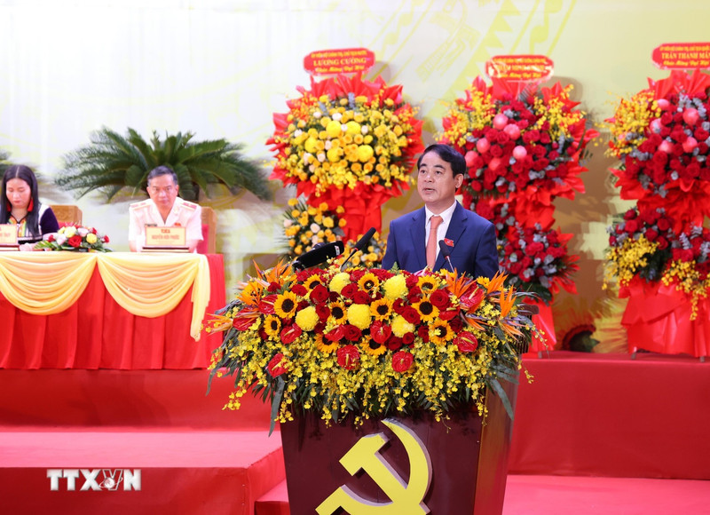 庆和省省委书记严春成在大会上发表讲话。（图片来源：越通社）