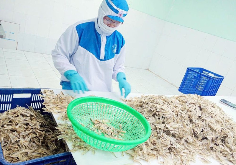 越南四海责任有限公司的鱚鱼骨产品出口到日本。