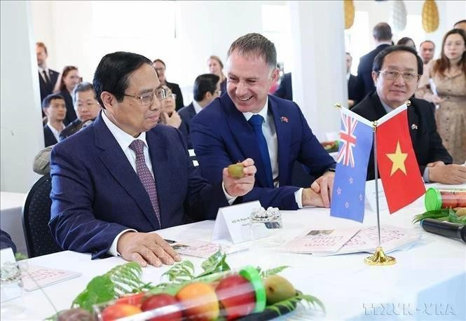 越南政府总理范明正了解新西兰植物与食品研究所的产品（奥克兰，2024年3月10日）。（图片来源：越通社）