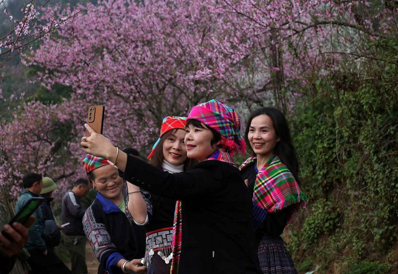 春节期间老街省成为游客具有吸引力的目的地。