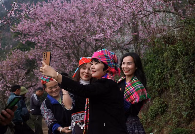 春节期间老街省成为游客具有吸引力的目的地。