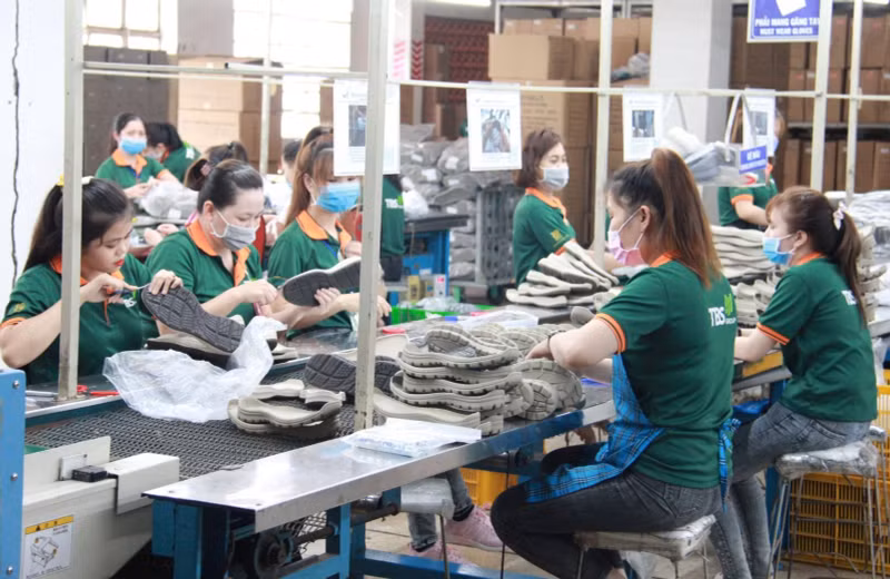 附图。（图片来源：平阳报）