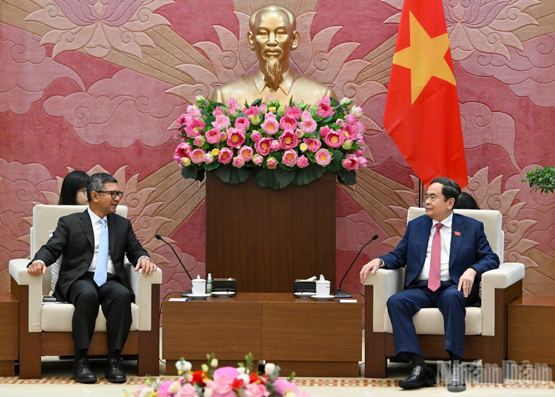 越南国会主席陈青敏会见印度尼西亚驻越南大使丹尼·阿卜迪。