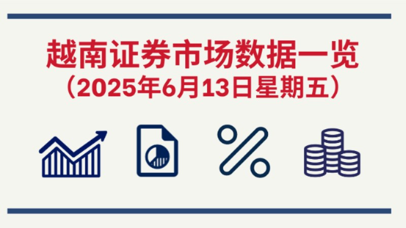 6月13日越南证券市场数据一览 【图表新闻】