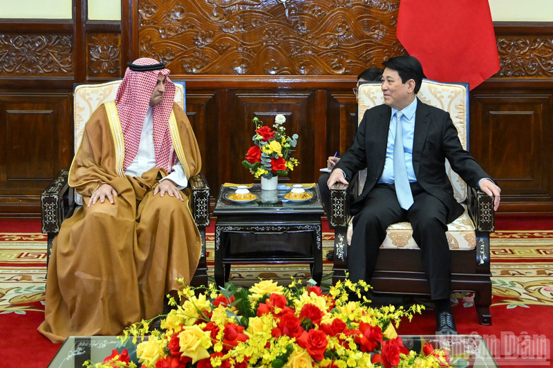 国家主席梁强会见沙特阿拉伯王国驻越南特命全权大使穆罕默德·伊斯梅尔·达尔维。