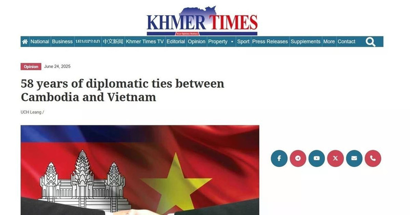 截面图。