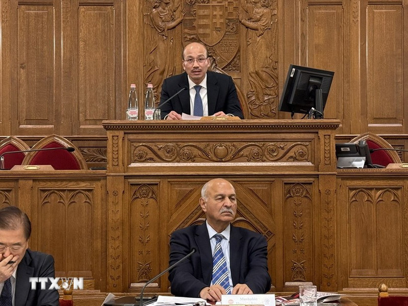 裴黎太大使（上）发表讲话。（图片来源：越通社）