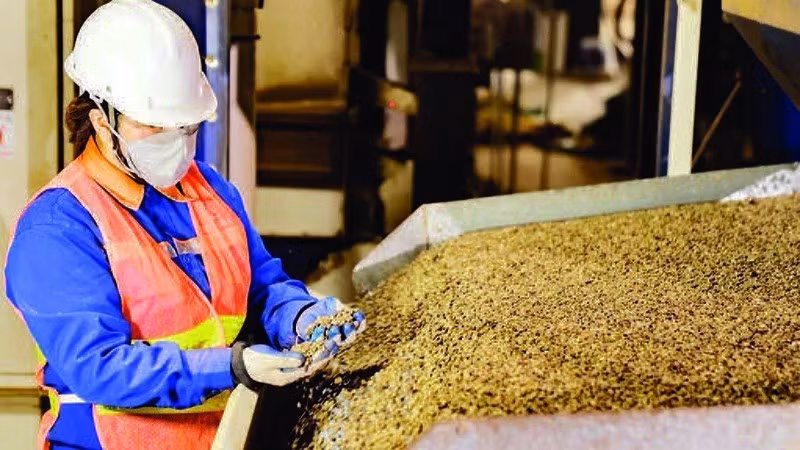 在得乐9·2进出口有限公司进行出口咖啡质量控制。（明英 摄）