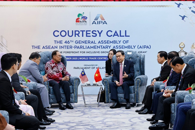 越南国会主席陈青敏会见马来西亚总理安瓦尔·易卜拉欣。
