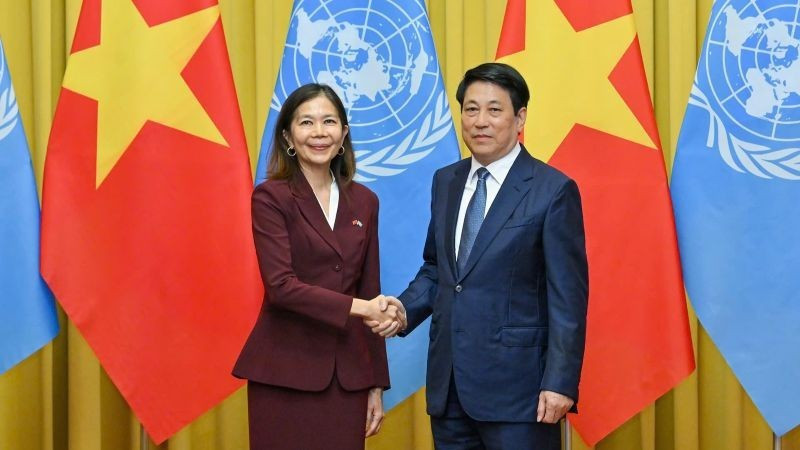 越南国家主席梁强会见联合国常驻越南协调员塔梅西斯。