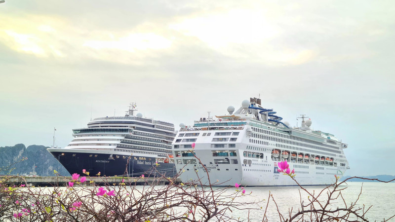 下龙国际客运港可同时接待两艘总吨位超过20万吨的邮轮。