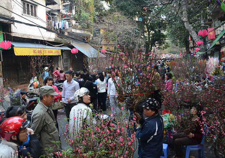 河内春节花市气氛浓（组图） ảnh 2