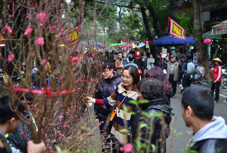 河内春节花市气氛浓（组图） ảnh 1