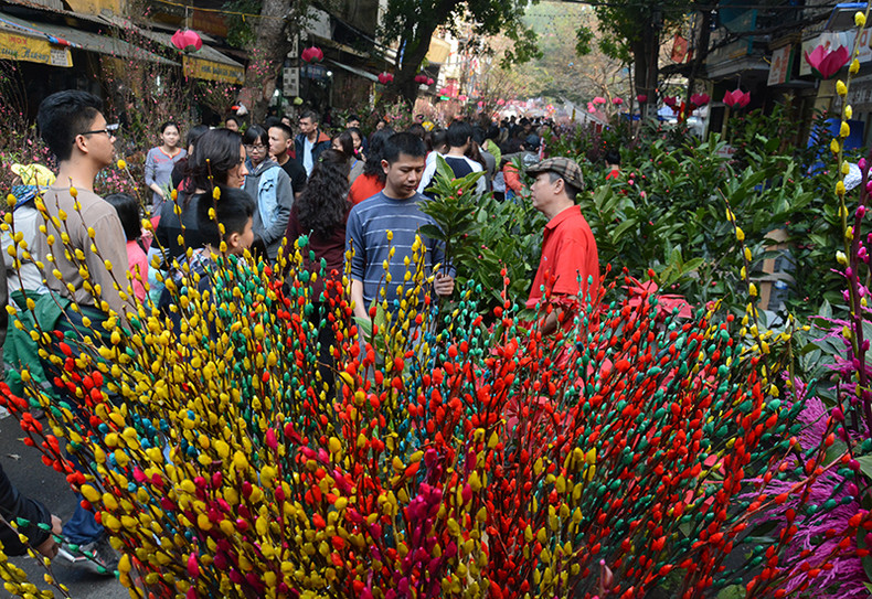 河内春节花市气氛浓（组图） ảnh 4