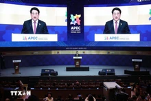 越南积极主动、负责任地参与APEC合作【图表新闻】