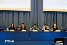 越南常驻联合国和其他国际组织代表团团长武黎泰黄大使发表讲话。（图片来源：越通社）