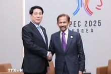 越南国家主席梁强会见文莱达鲁萨兰国苏丹哈吉·哈桑纳尔·博尔基亚。