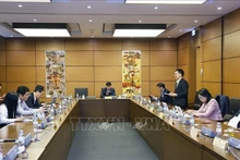 越南国会林同省和义安省代表团在小组讨论会上发言。（图片来源：越通社）