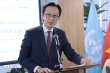 越南常驻联合国代表团团长杜雄越大使。