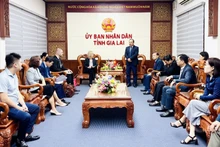 嘉莱省会同美国驻胡志明市总领事馆及天主教救济服务会（CRS）驻越南代表处共同举行仪式，向越南中部部分受灾省份象征性地移交灾后恢复重建援助款项。