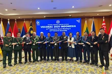 出席会议的越南代表团。