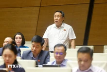 广治省国会代表何士同发表讲话。（图片来源：越通社）