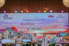 2025年越南旅游推介活动中的文艺表演节目。（图片来源：越通社）