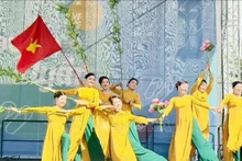 “越南文化日”活动的文艺表演。（图片来源：越通社）