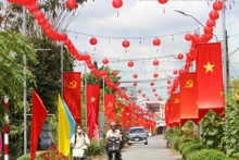 永隆省正按规定、按进度同步开展各项准备步骤。（图片来源：越通社）