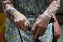 附图。（图片来源：thestar.com.my）