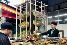 附图。（图片来源：越通社）