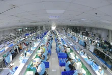 附图。（图片来源：越通社）