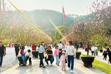 春节假期旅游客流的增长，为年初以来连续出现的积极信号再添动力。