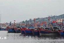 附图。（图片来源：越通社）