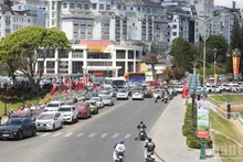 2026年丙午春节九天期间，林同省共接待游客约92.5万人次，同比增长32%，旅游收入约达1.85万亿越盾。