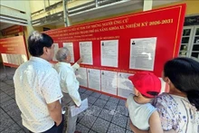 候选人名单和个人简介均公开展示。（图片来源：越通社）