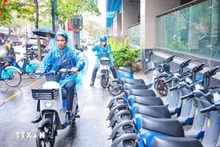 附图。（图片来源：越通社）