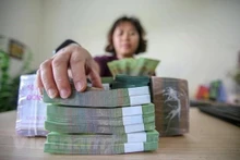 附图。（图片来源：越通社）