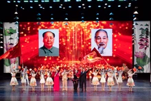 越南文化日的文艺演出。